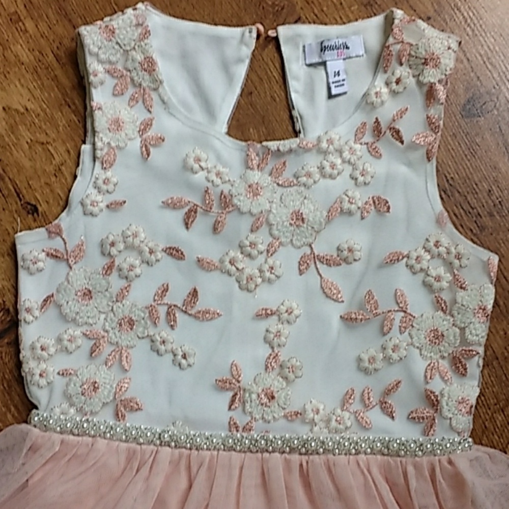 โHPโ๐๐๐ Beautiful Girl's Blush Pink Peach Dress - Picture 2 of 8